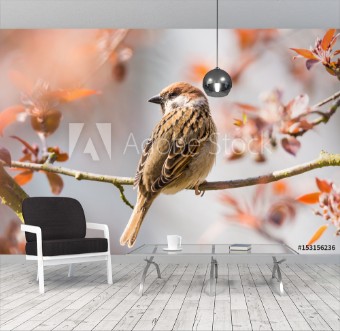 Picture of Eurasian Tree Sparrow sitting on a twig